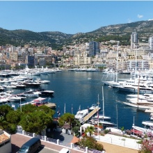 whatsapp_image_2026-04-01_at_13_08_55