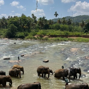 izobrazenie_whatsapp_2025-11-05_v_11_43_07_6f5c875a