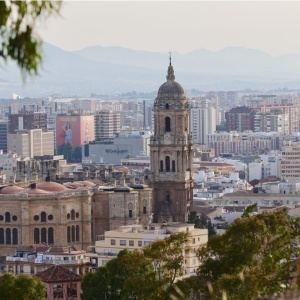 whatsapp_image_2026-02-25_at_18_43_03