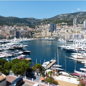 whatsapp_image_2026-04-01_at_13_08_55