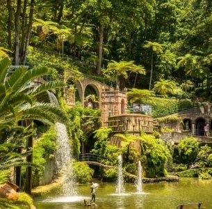 izobrazenie_whatsapp_2024-12-10_v_13_04_51_811af023_1059701720