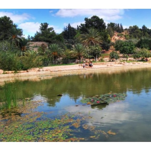 Экскурсия&nbsp; в парк 1000 пещер Бейт Гуврин