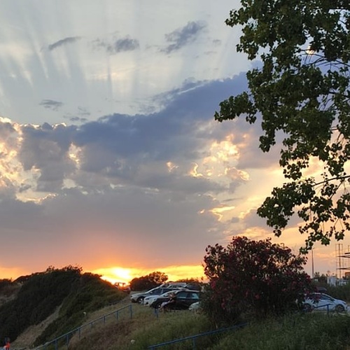 whatsapp_image_2024-03-05_at_16_40_14_138861311